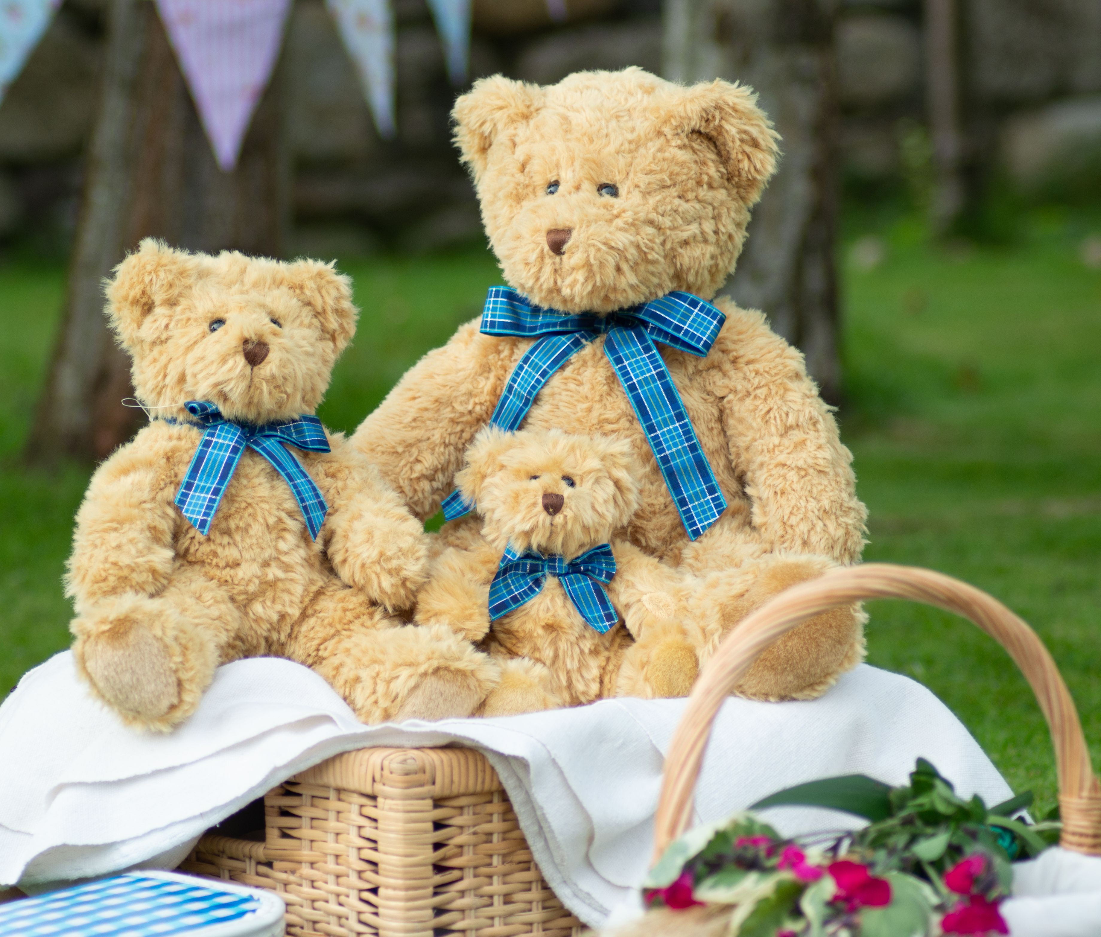 BRACKEN BEAR