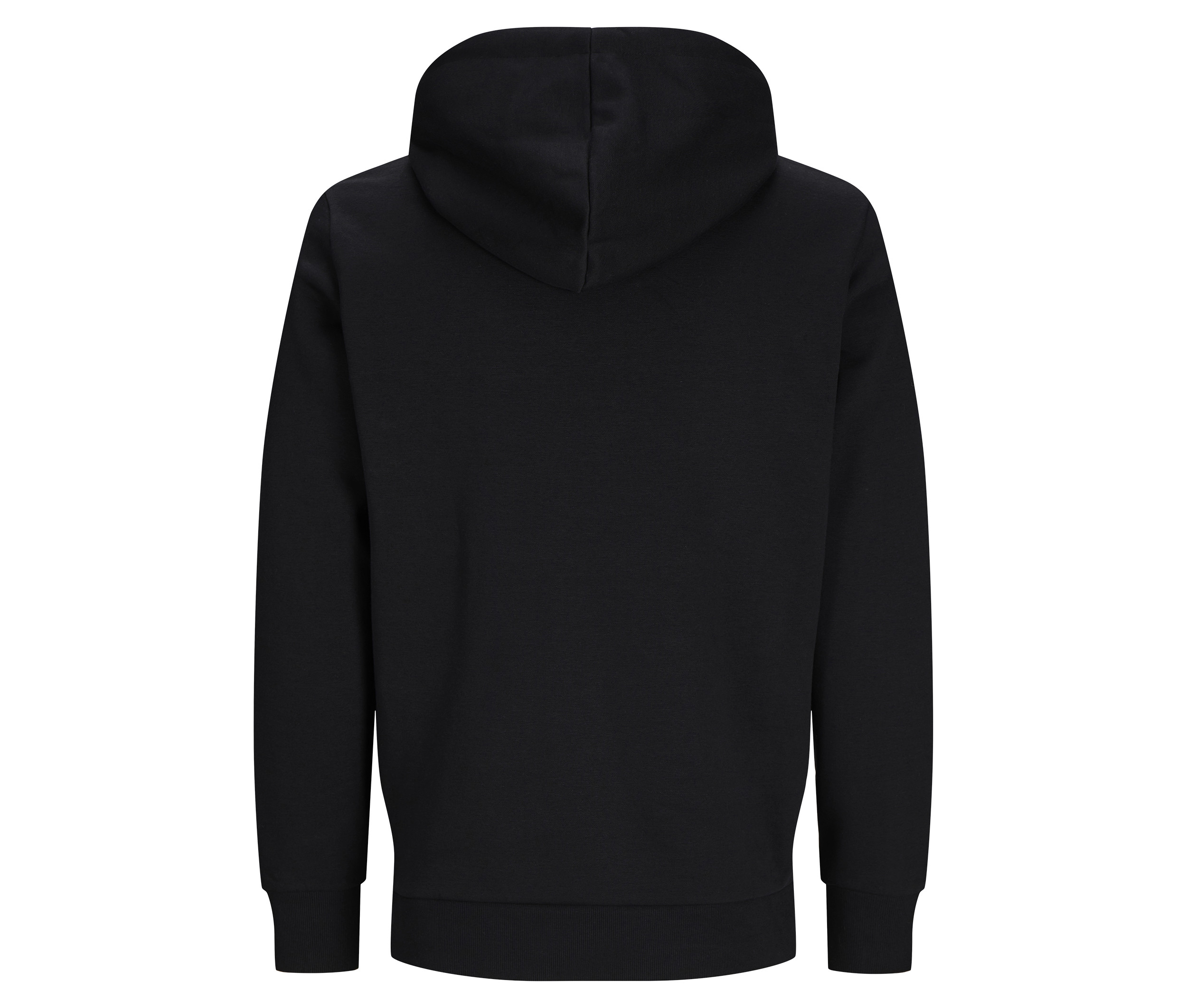 DAY ZIP HOOD
