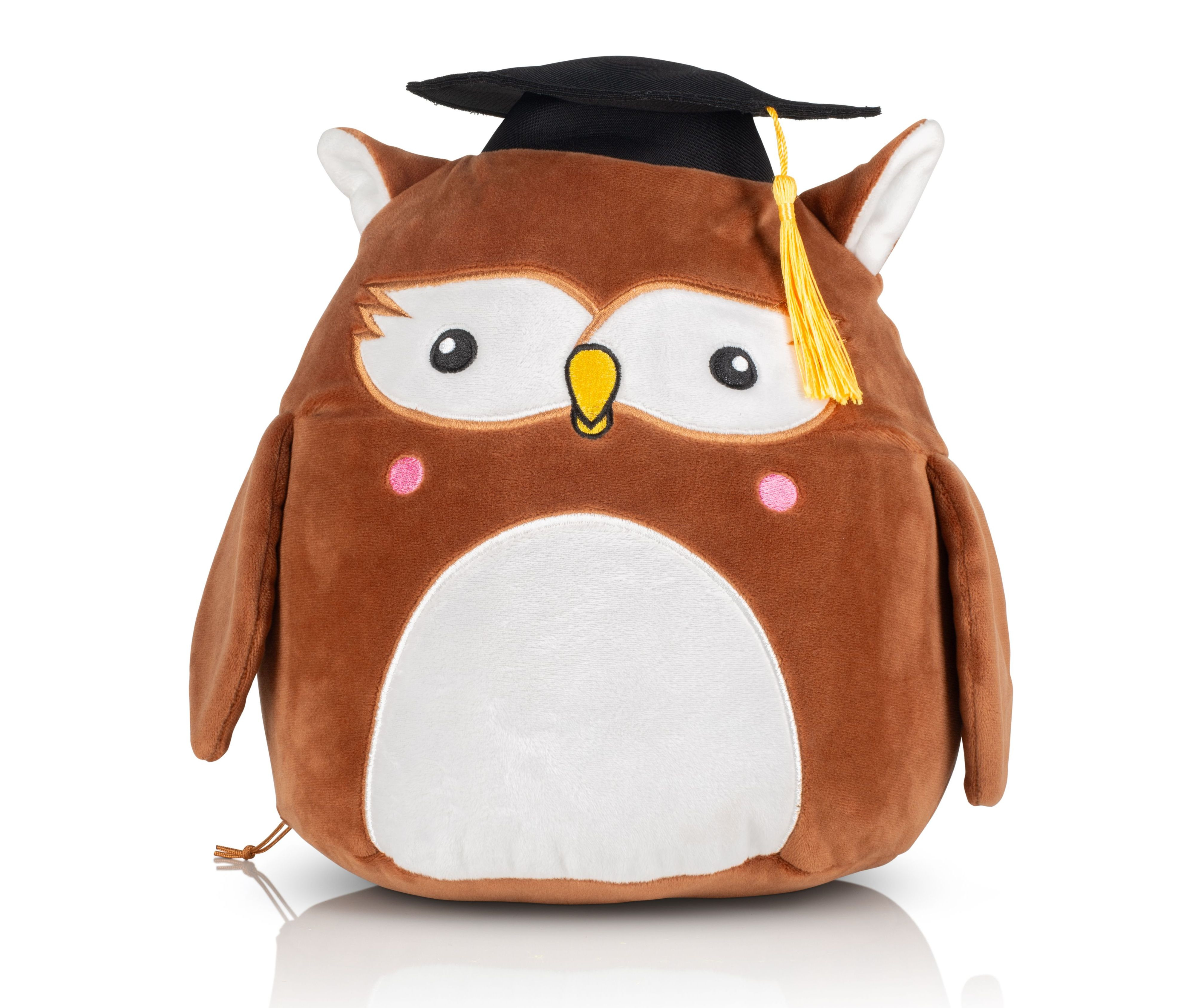 SQUIDGY WISE OWL