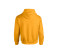 HEAVY BLEND ADULT HOODED SWEATSHIRT