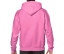 HEAVY BLEND ADULT HOODED SWEATSHIRT