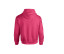 HEAVY BLEND ADULT HOODED SWEATSHIRT