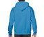 HEAVY BLEND ADULT HOODED SWEATSHIRT
