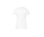 WOMEN’S JERSEY POLO