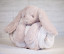 RABBIT WITH BLANKET