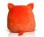 SQUIDGY GINGER CAT